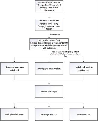 Causal relationship between human blood omega-3 fatty acids and the risk of epilepsy: A two-sample Mendelian randomization study